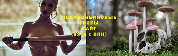 прущая мука Кодинск