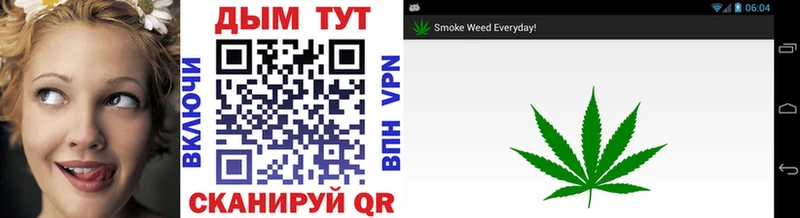 Бошки Шишки VHQ  Купить где  Вельск 